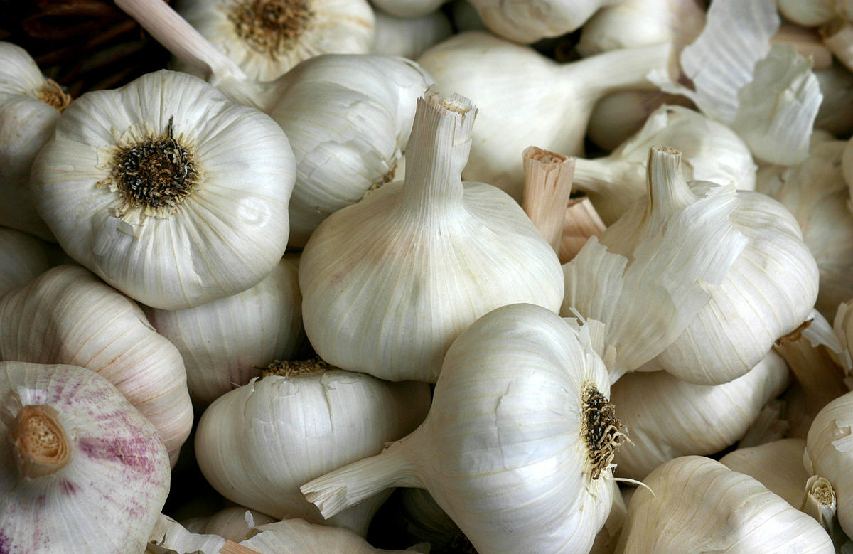 1200px-Knoblauch_2995