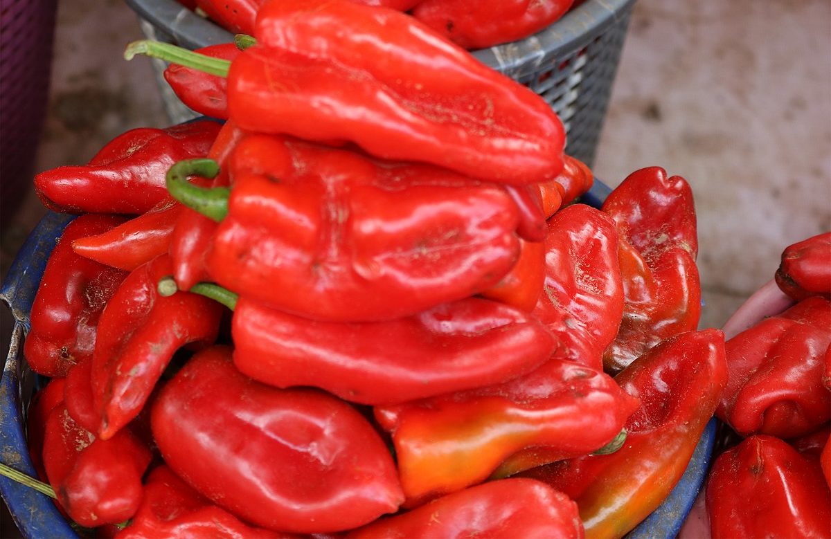 1200px-Nigerian_Cayenne_Pepper