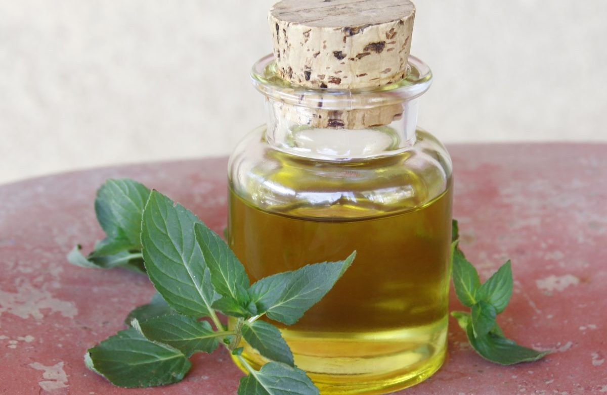 homemade-peppermint-infused-oil